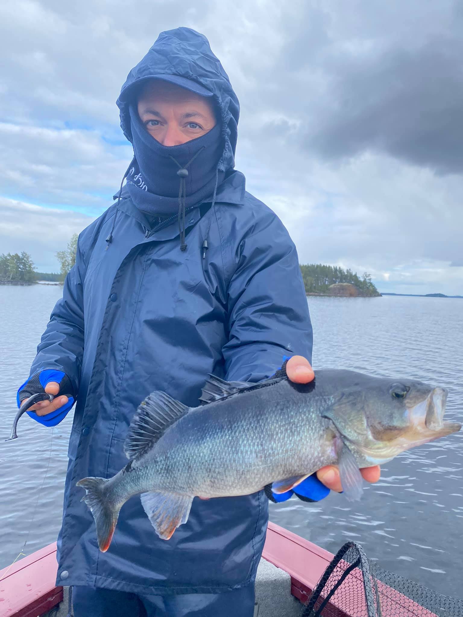 Perch fishing in Finland - Saimaa Fishing Travels